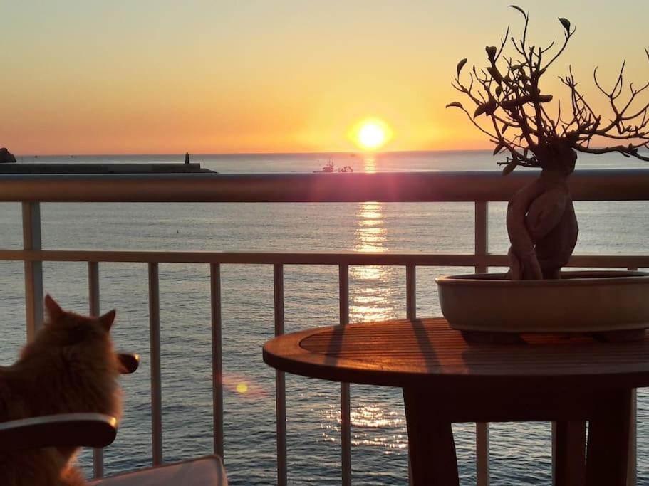 La Casa Del Port Apartment ฮาเวอา ภายนอก รูปภาพ