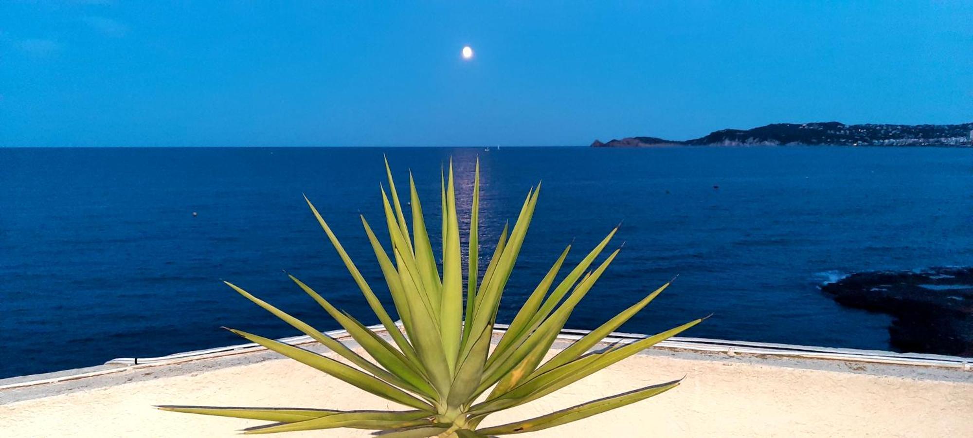 La Casa Del Port Apartment ฮาเวอา ภายนอก รูปภาพ